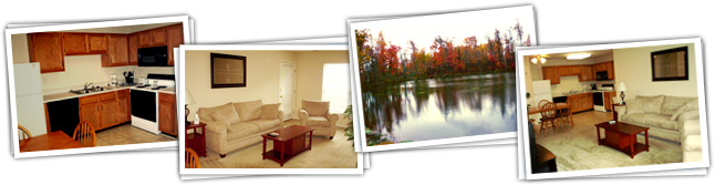 Four pictures of apartments